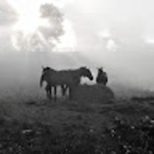 Meet your Posher, Chanda